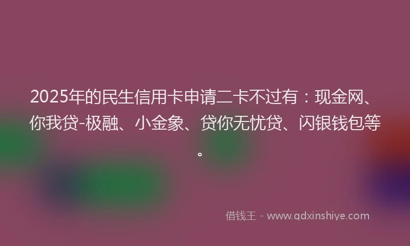 2025年的民生信用卡申请二卡不过有：现金网、你我贷-极融、小金象、贷你无忧贷、闪银钱包等。