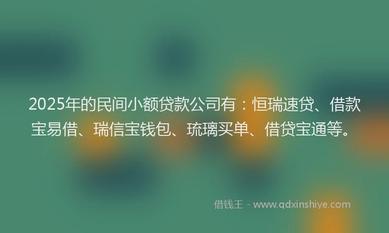 2025年的民间小额贷款公司有：恒瑞速贷、借款宝易借、瑞信宝钱包、琉璃买单、借贷宝通等。