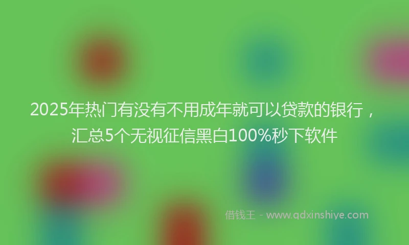 2025年热门有没有不用成年就可以贷款的银行，汇总5个无视征信黑白100%秒下软件