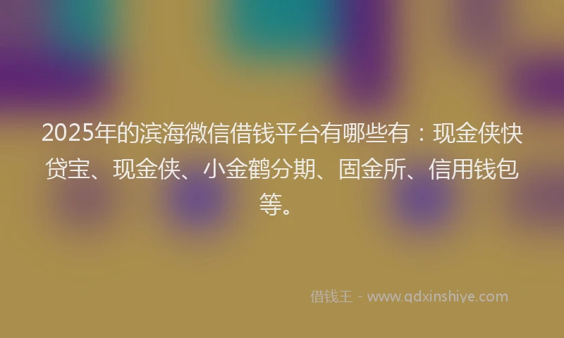 2025年的滨海微信借钱平台有哪些有:现金侠快贷宝、现金侠、小金鹤分期、固金所、信用钱包等。