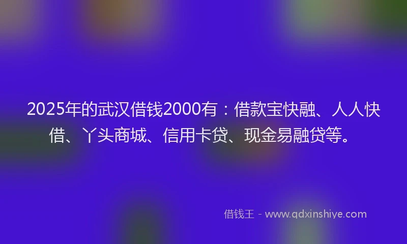 2025年的武汉借钱2000有：借款宝快融、人人快借、丫头商城、信用卡贷、现金易融贷等。