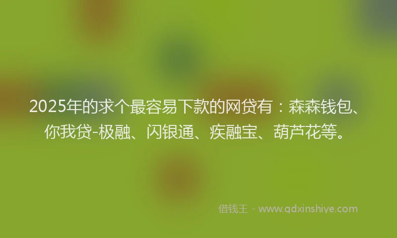 2025年的求个最容易下款的网贷有：森森钱包、你我贷-极融、闪银通、疾融宝、葫芦花等。
