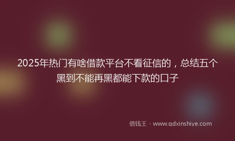 2025年热门有啥借款平台不看征信的,总结五个黑到不能再黑都能下款的口子