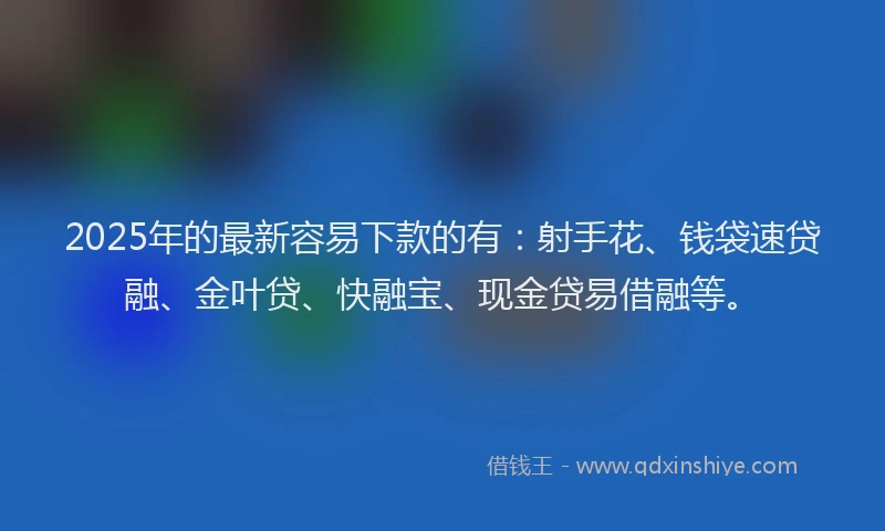 2025年的最新容易下款的有：射手花、钱袋速贷融、金叶贷、快融宝、现金贷易借融等。