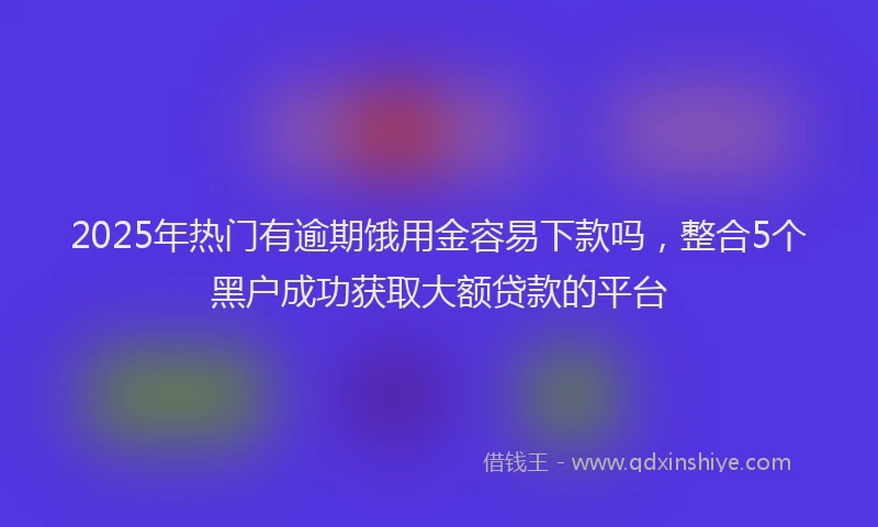 2025年热门有逾期饿用金容易下款吗，整合5个黑户成功获取大额贷款的平台