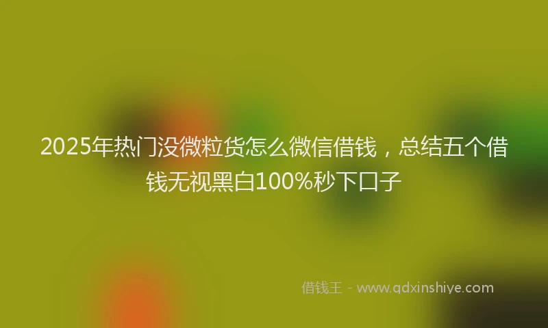 2025年热门没微粒货怎么微信借钱，总结五个借钱无视黑白100%秒下口子