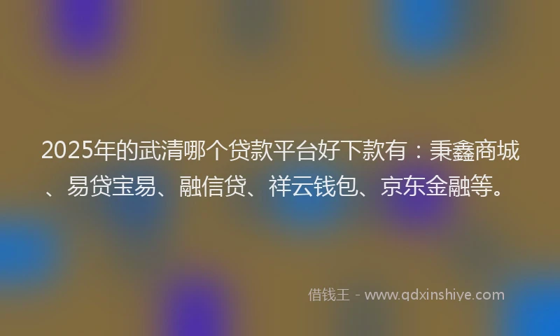 2025年的武清哪个贷款平台好下款有：秉鑫商城、易贷宝易、融信贷、祥云钱包、京东金融等。