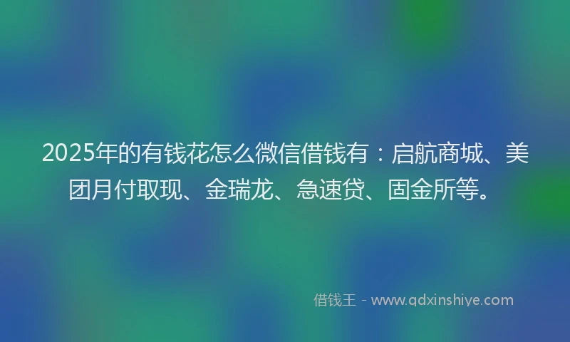 2025年的有钱花怎么微信借钱有：启航商城、美团月付取现、金瑞龙、急速贷、固金所等。
