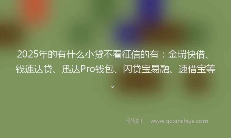 2025年的有什么小贷不看征信的有：金瑞快借、钱速达贷、迅达Pro钱包、闪贷宝易融、速借宝等。
