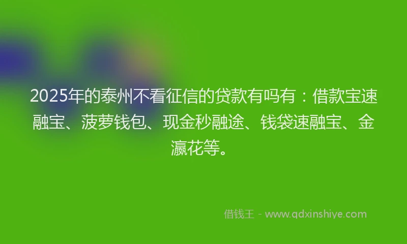 2025年的泰州不看征信的贷款有吗有:借款宝速融宝、菠萝钱包、现金秒融途、钱袋速融宝、金瀛花等。