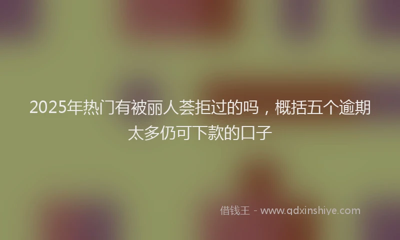 2025年热门有被丽人荟拒过的吗，概括五个逾期太多仍可下款的口子