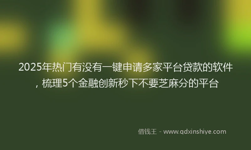 2025年热门有没有一键申请多家平台贷款的软件，梳理5个金融创新秒下不要芝麻分的平台