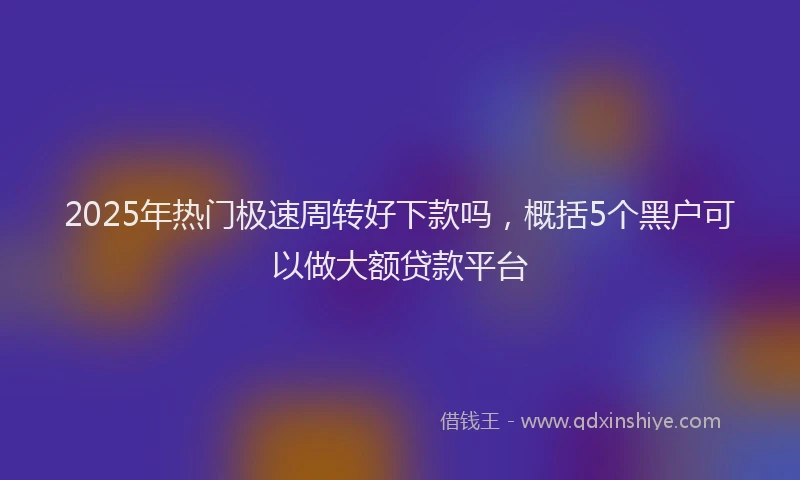 2025年热门极速周转好下款吗，概括5个黑户可以做大额贷款平台