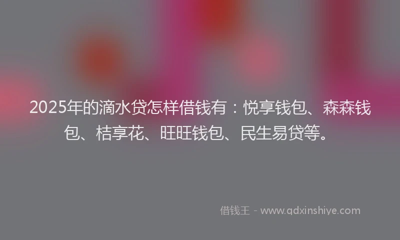 2025年的滴水贷怎样借钱有：悦享钱包、森森钱包、桔享花、旺旺钱包、民生易贷等。