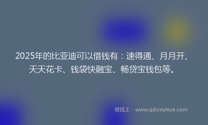 2025年的比亚迪可以借钱有:速得通、月月开、天天花卡、钱袋快融宝、畅贷宝钱包等。