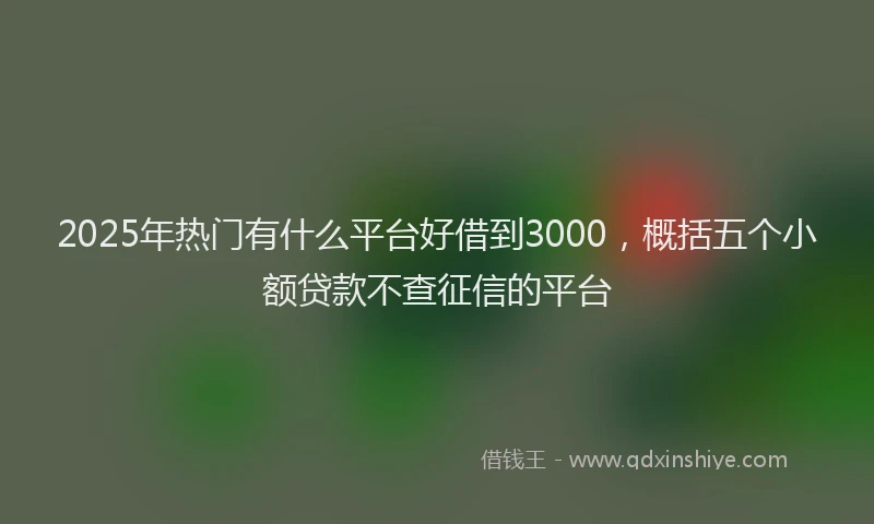 2025年热门有什么平台好借到3000，概括五个小额贷款不查征信的平台