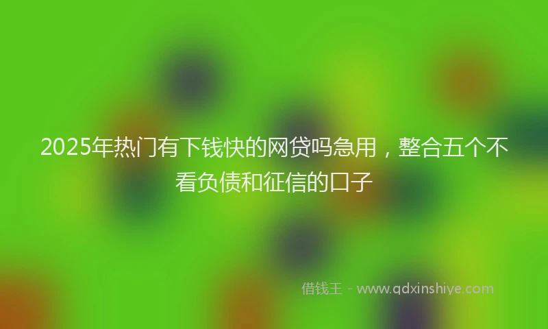 2025年热门有下钱快的网贷吗急用，整合五个不看负债和征信的口子