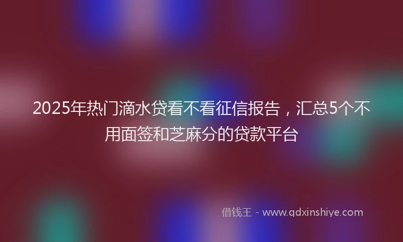 2025年热门滴水贷看不看征信报告，汇总5个不用面签和芝麻分的贷款平台