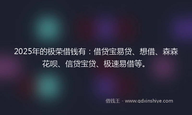 2025年的极荣借钱有：借贷宝易贷、想借、森森花呗、信贷宝贷、极速易借等。