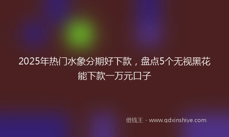 2025年热门水象分期好下款，盘点5个无视黑花能下款一万元口子