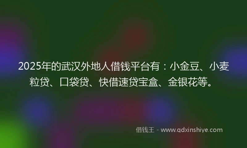 2025年的武汉外地人借钱平台有：小金豆、小麦粒贷、口袋贷、快借速贷宝盒、金银花等。