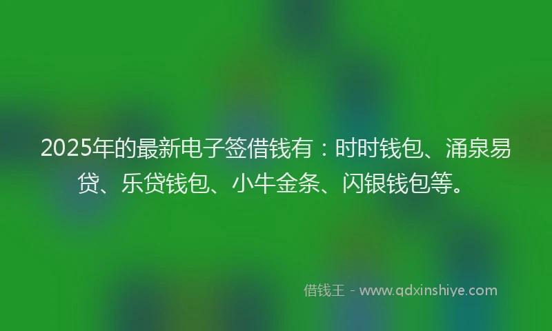 2025年的最新电子签借钱有：时时钱包、涌泉易贷、乐贷钱包、小牛金条、闪银钱包等。