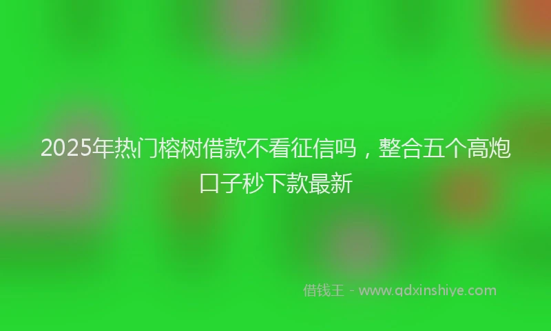 2025年热门榕树借款不看征信吗，整合五个高炮口子秒下款最新
