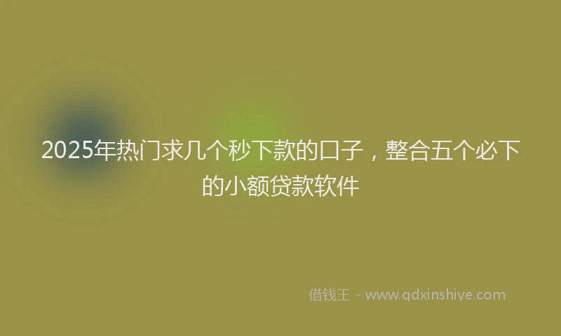 2025年热门求几个秒下款的口子，整合五个必下的小额贷款软件