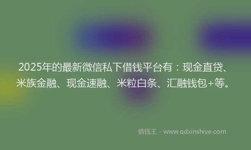 2025年的最新微信私下借钱平台有：现金直贷、米族金融、现金速融、米粒白条、汇融钱包+等。