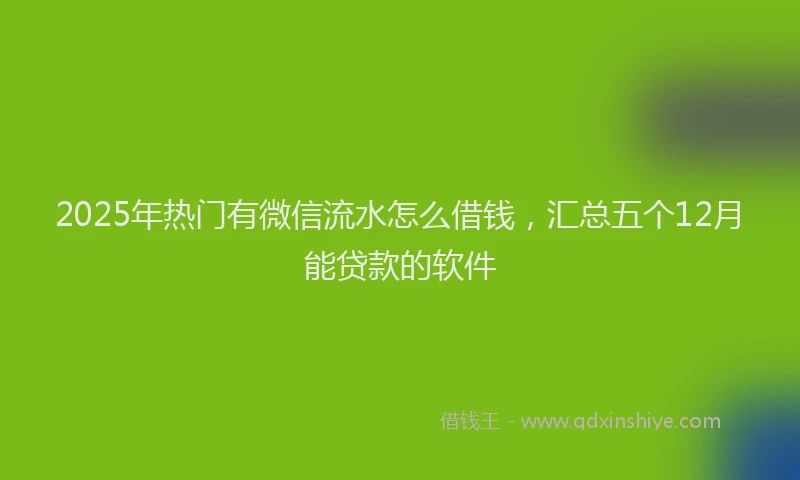 2025年热门有微信流水怎么借钱，汇总五个12月能贷款的软件