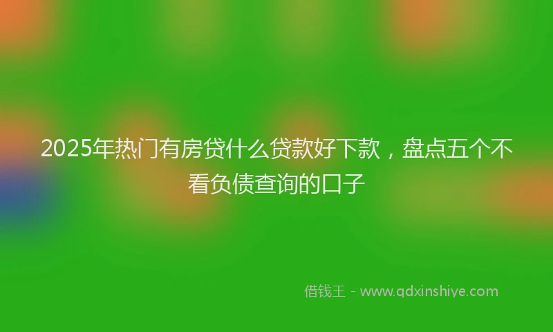 2025年热门有房贷什么贷款好下款，盘点五个不看负债查询的口子