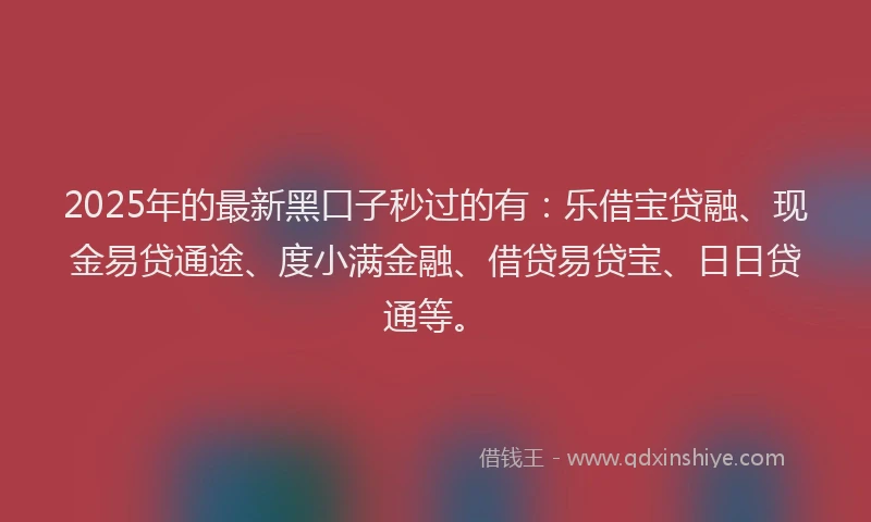 2025年的最新黑口子秒过的有：乐借宝贷融、现金易贷通途、度小满金融、借贷易贷宝、日日贷通等。