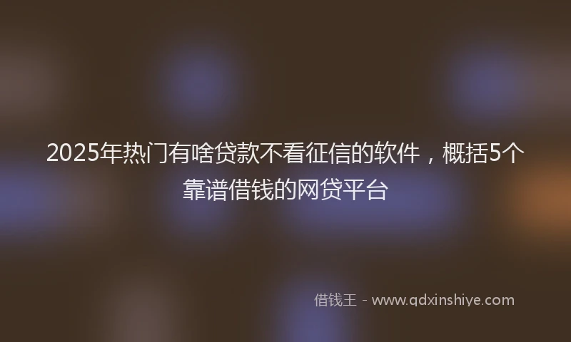 2025年热门有啥贷款不看征信的软件，概括5个靠谱借钱的网贷平台