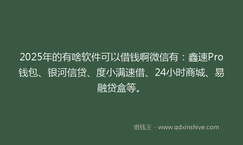 2025年的有啥软件可以借钱啊微信有:鑫速Pro钱包、银河信贷、度小满速借、24小时商城、易融贷盒等。