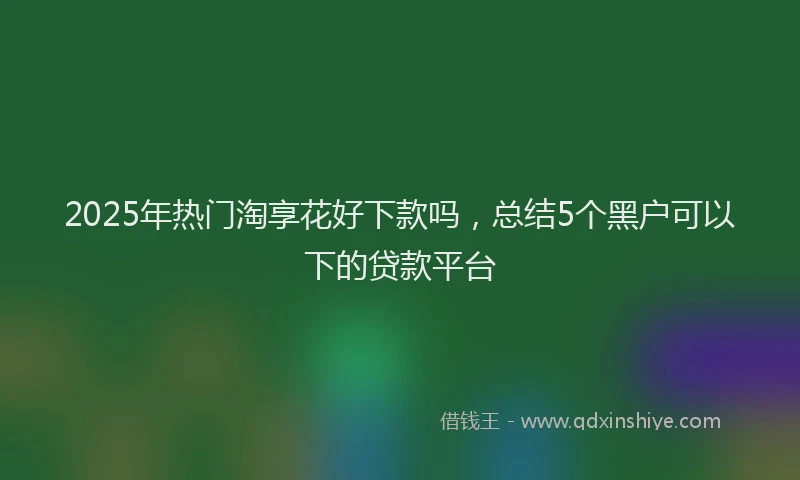 2025年热门淘享花好下款吗，总结5个黑户可以下的贷款平台