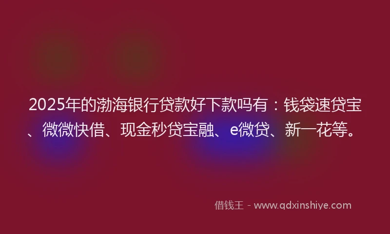 2025年的渤海银行贷款好下款吗有：钱袋速贷宝、微微快借、现金秒贷宝融、e微贷、新一花等。