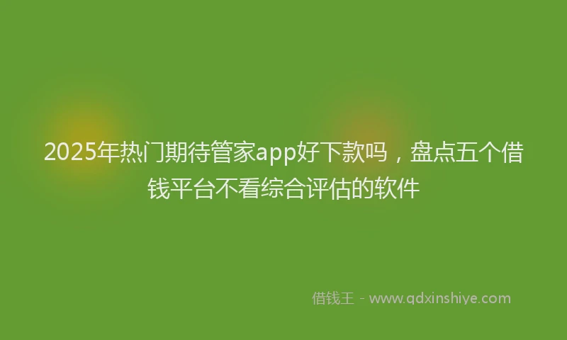 2025年热门期待管家app好下款吗，盘点五个借钱平台不看综合评估的软件