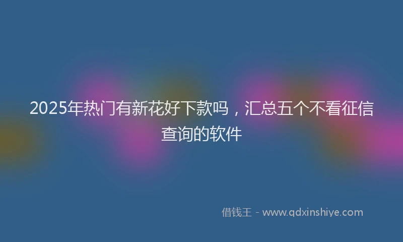 2025年热门有新花好下款吗，汇总五个不看征信查询的软件