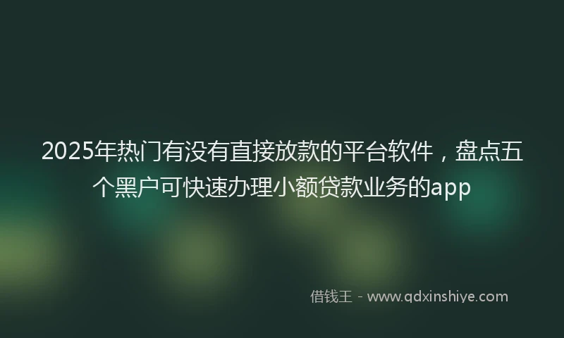2025年热门有没有直接放款的平台软件，盘点五个黑户可快速办理小额贷款业务的app