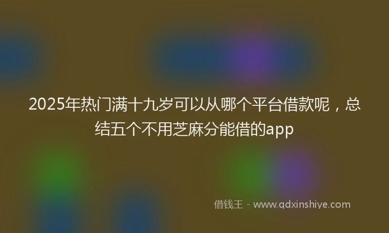 2025年热门满十九岁可以从哪个平台借款呢，总结五个不用芝麻分能借的app