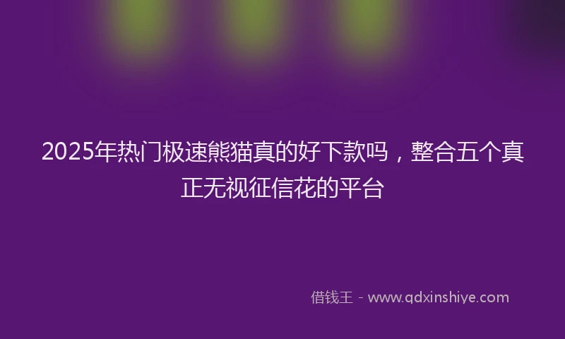 2025年热门极速熊猫真的好下款吗，整合五个真正无视征信花的平台