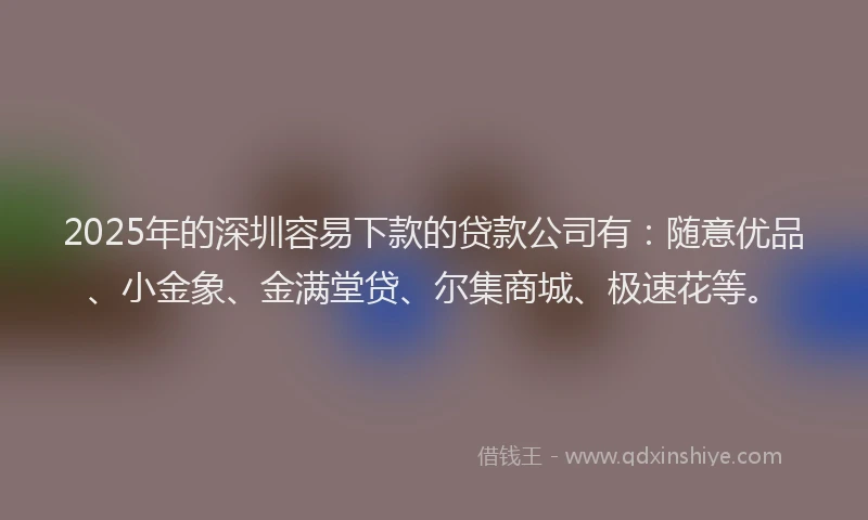 2025年的深圳容易下款的贷款公司有：随意优品、小金象、金满堂贷、尔集商城、极速花等。