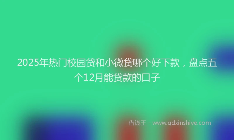 2025年热门校园贷和小微贷哪个好下款,盘点五个12月能贷款的口子