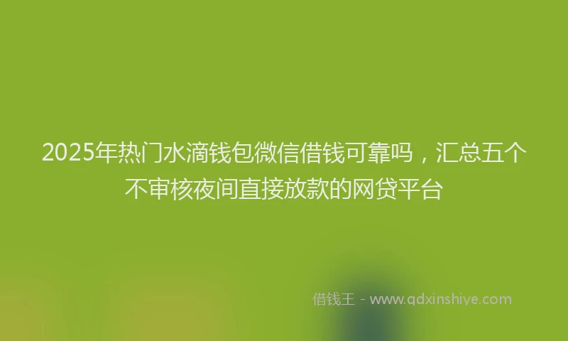 2025年热门水滴钱包微信借钱可靠吗,汇总五个不审核夜间直接放款的网贷平台