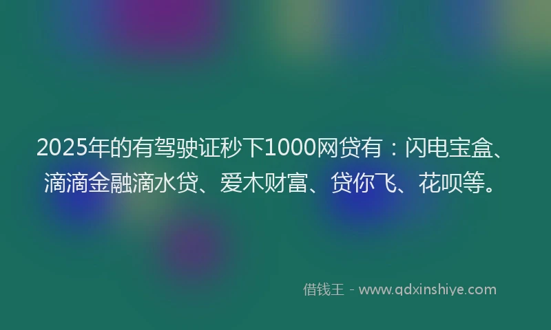 2025年的有驾驶证秒下1000网贷有：闪电宝盒、滴滴金融滴水贷、爱木财富、贷你飞、花呗等。