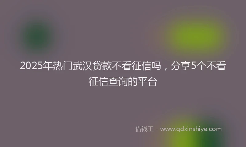 2025年热门武汉贷款不看征信吗，分享5个不看征信查询的平台