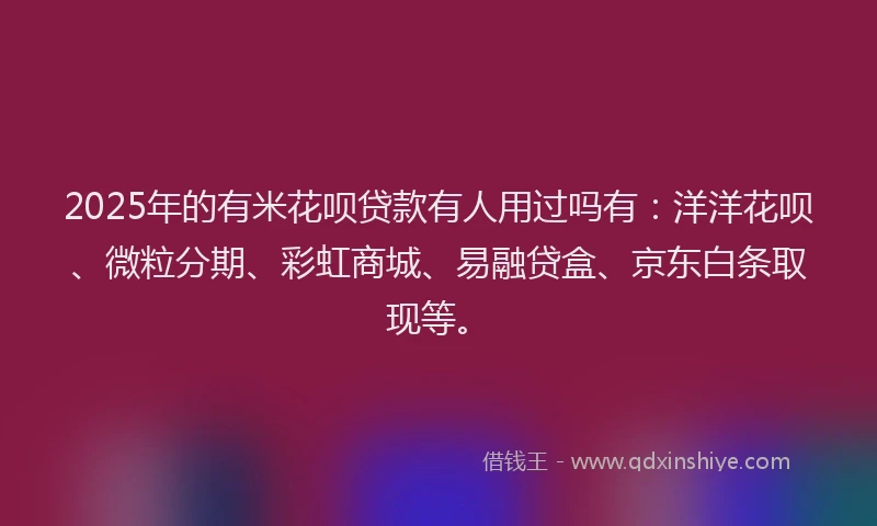 2025年的有米花呗贷款有人用过吗有：洋洋花呗、微粒分期、彩虹商城、易融贷盒、京东白条取现等。