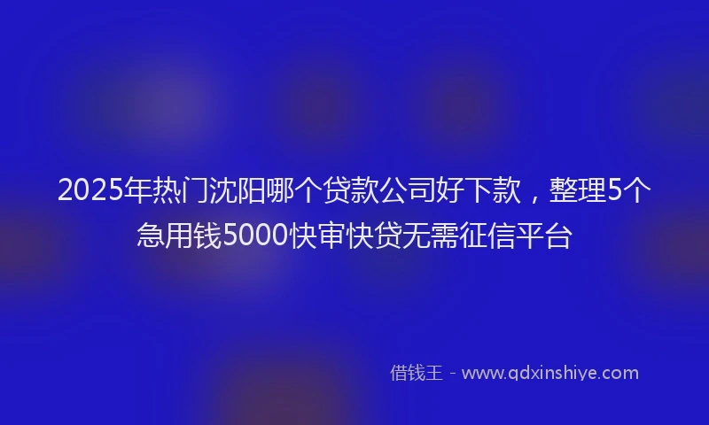 2025年热门沈阳哪个贷款公司好下款，整理5个急用钱5000快审快贷无需征信平台
