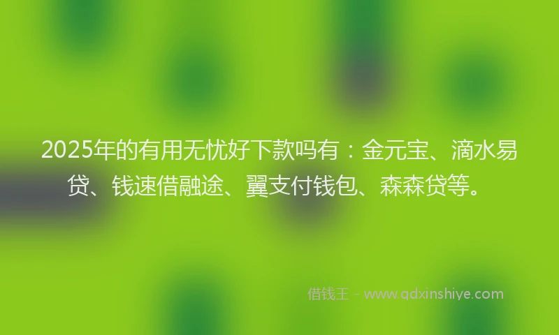2025年的有用无忧好下款吗有：金元宝、滴水易贷、钱速借融途、翼支付钱包、森森贷等。