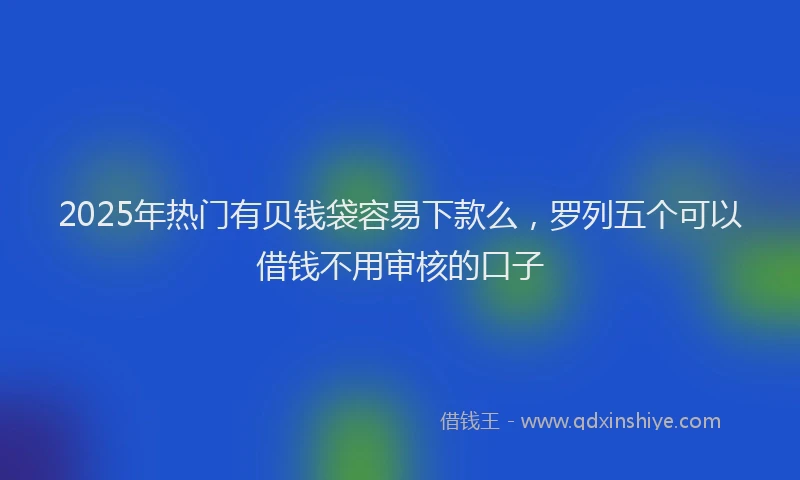 2025年热门有贝钱袋容易下款么，罗列五个可以借钱不用审核的口子